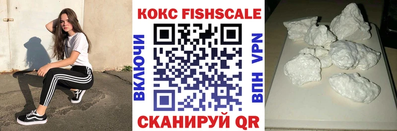 как найти наркотики  Ельня  kraken   COCAIN FishScale 