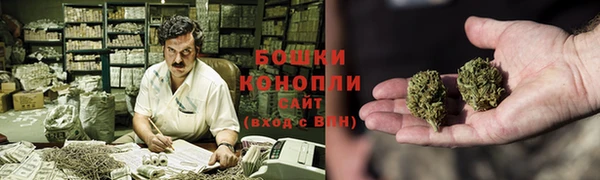 соль ск Белокуриха