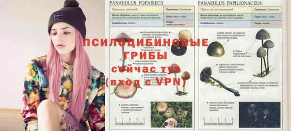 соль ск Белокуриха