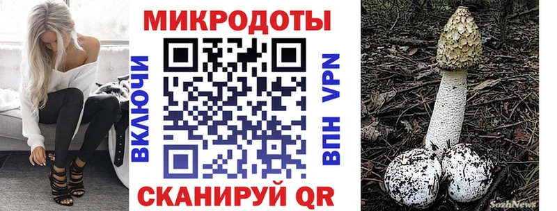 Галлюциногенные грибы мицелий  Ельня 